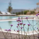 Golden Milos ηouse By Domotel Hotel Provatas