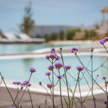 Golden Milos Hotel Provatas